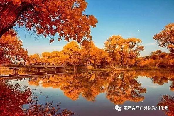 妖刀打比赛风评急转直下,和AG助教竟然五五开,技术已下滑太多